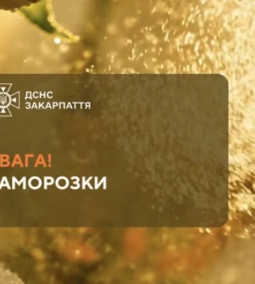 Холодний удар по врожаю: Закарпаття накриють небезпечні заморозки — аграрії під загрозою втрат