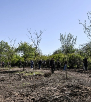 На Хортиці висадили 151 дерево на честь загиблих захисників