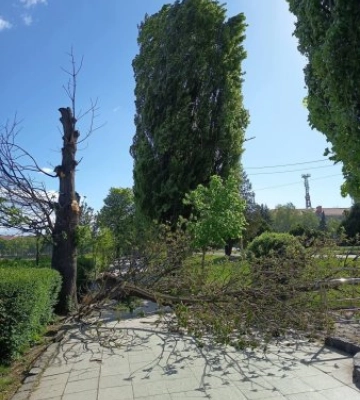 На Закарпатті оголосили попередження про штормовий вітер
