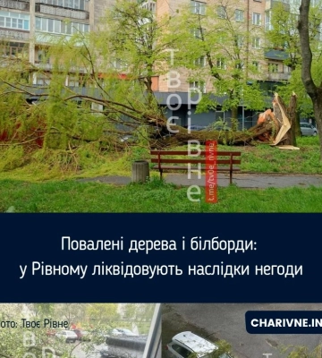 Повалені дерева та пошкоджені білборди: у Рівному вирує негода