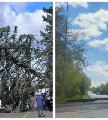 Унаслідок негоди на Львівщині без електропостачання 103 населені пункти: 21 — повністю, 82 — частково