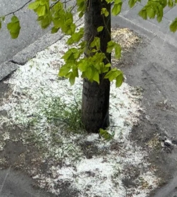 В Киеве град
