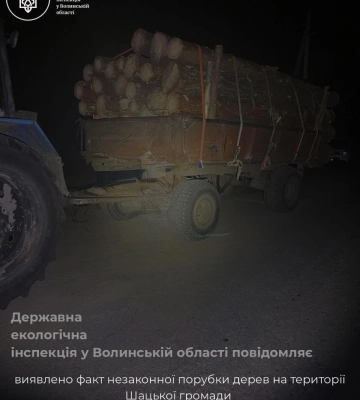 На Волині у лісництві виявили 60 пнів та незаконне перевезення деревини: розпочали розслідування
