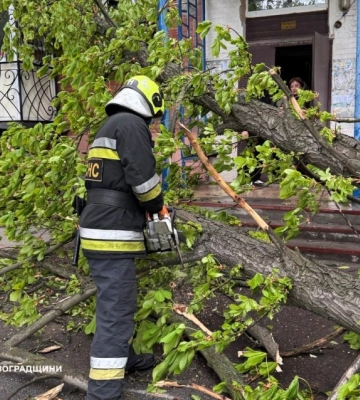 Обірвані дроти і повалені дерева: які наслідки принесла негода Кіровоградщині (ФОТО)