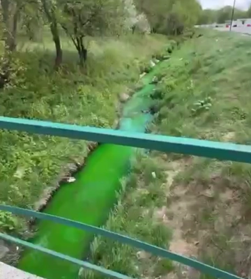 У Львові неприродно позеленіла річка Зубра
