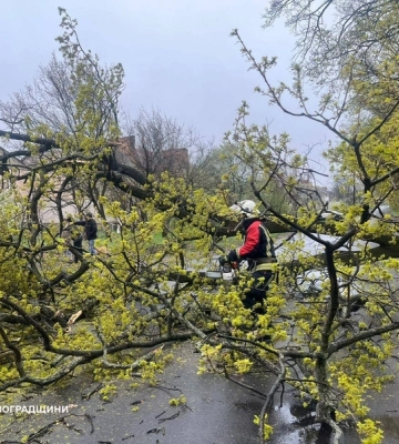 На Кіровоградщині через дощ і вітер без електрики пів сотні населених пунктів