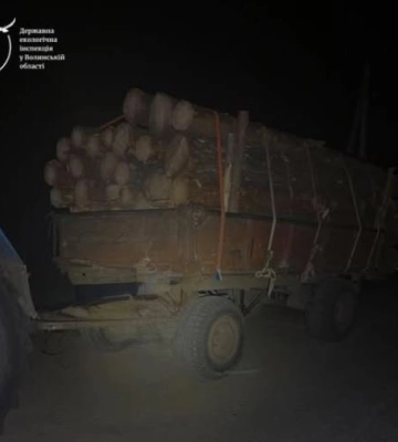 У лісництві на Волині виявили 60 пнів сосни: дерева зрубали незаконно
