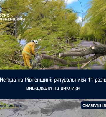 Повалені дерева та пошкоджені білборди: у Рівному вирує негода