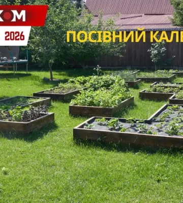 Посівний календар на травень 2026: час масового висаджування та боротьби за майбутній врожай