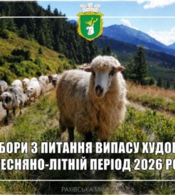 Важливо для власників худоби! У Рахові відбудуться збори щодо випасу в сезоні 2026