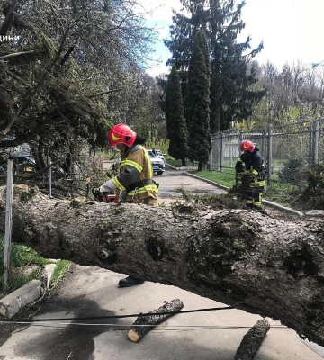Понад 5 тисяч абонентів без світла: на Черкащині долають наслідки шквального вітру