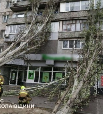 Повалені дерева і перекриті дороги: як Миколаївщина пережила шторм
