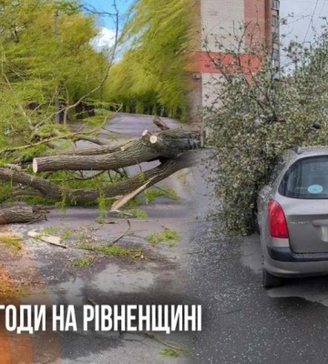 У полоні негоди: буревій у Луцьку зірвав дахи з будівель 