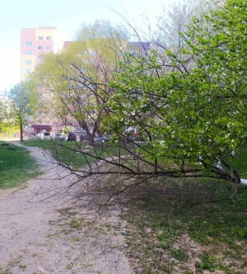 У полоні негоди: буревій у Луцьку зірвав дахи з будівель 