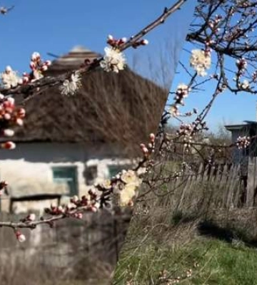 Українка купила хату за 30 тисяч: що вона отримала разом із землею