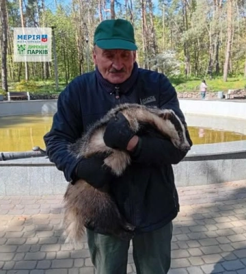 У черкаському парку знайшли ручного борсука (ФОТО)