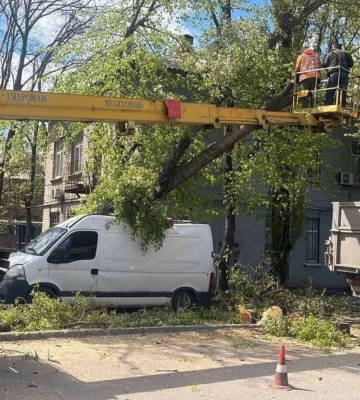 У Дніпрі буревій вирвав дерева з корінням: наслідки негоди досі не ліквідували (ФОТО)