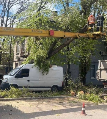 Дніпро досі в завалених деревах: як ліквідують наслідки буревію