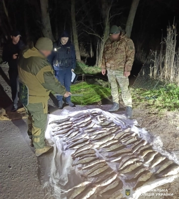В Олександрійському районі браконьєр виловив судака на понад 200 тис. грн 