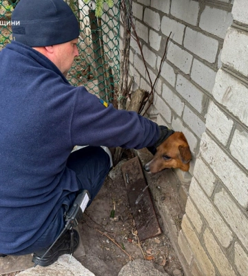 На Полтавщині рятувальники визволили пса, який застряг у паркані