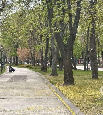 Прогноз погоды в Днепре на сегодня, 29 апреля 2026