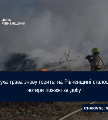 Суха трава знову горить: на Рівненщині сталося чотири пожежі за добу