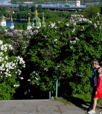 Більшість українців у війні США та Ірану не підтримують жодну із сторін – КМІС