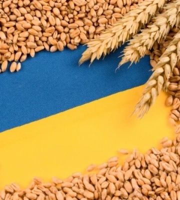 Крадене зерно. Ізраїль між Україною і страхом перед Росією