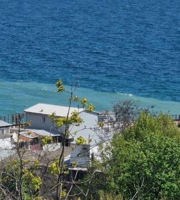 Олійна пляма в морі біля Одеси розтягнулась на тисячі кілометрів