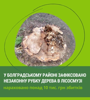 Браконьєр заплатить понад 10 тисяч гривень за зрубане дерево на Одещині