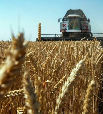 Україна просить Ізраїль відмовитися від російського зерна