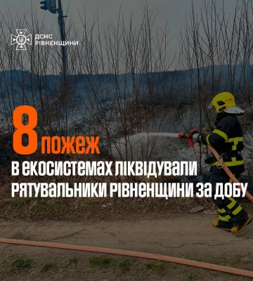 На Рівненщині за добу рятувальники загасили 8 пожеж сухостою