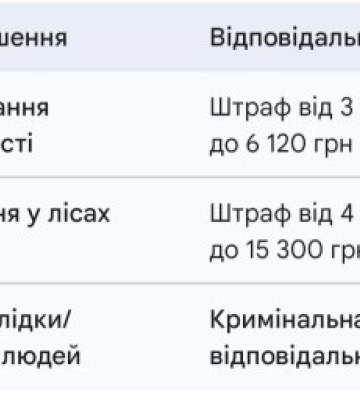 Закарпаття у вогні: 11 масштабних пожеж за добу нищать область