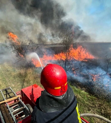 Екологи підрахували шкоду від весняних пожеж на Одещині