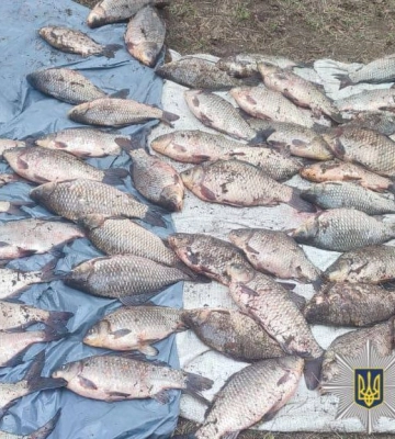 На Київщині браконьєр наловив риби на 90 тисяч гривень (ФОТО)