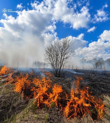 За добу на Львівщині сталося 36 пожеж в екосистемах