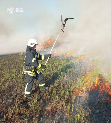 На Волині за минулу добу вогонь знищив близько 5 га землі