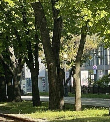 Відключення світла у Дніпрі 5 травня: адреси