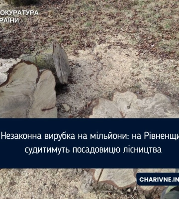 Незаконна вирубка на мільйони: на Рівненщині судитимуть посадовицю лісництва