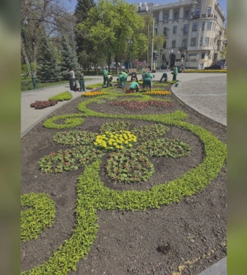 Яркую клумбу создают возле памятника Шевченко в Харькове: что высаживают 