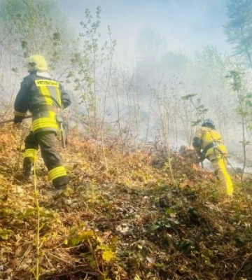 Вогняне пекло під Воловцем: 15 гектарів лісу у вогні, у небі — дрони (ФОТО)