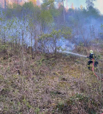 На Закарпатті спалахнула лісова пожежа, полум&amp;apos;я охопило 15 га