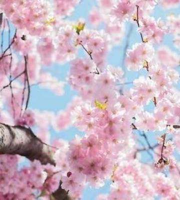 Гроза, град та до 27° тепла: якою буде погода на Львівщині 6 травня
