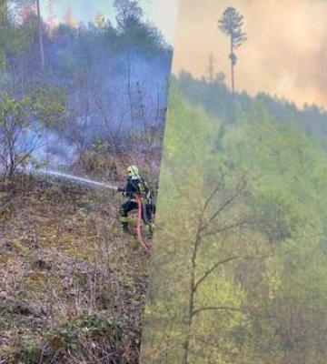 У Мукачівському районі горить близько 15 гектарів лісу
