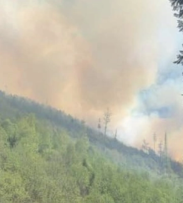 На Закарпатті поблизу Воловця горять 75 гектарів лісу