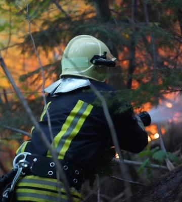У Мукачівському районі горить близько 15 гектарів лісу