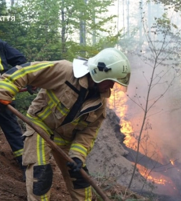 У Мукачівському районі горить близько 15 гектарів лісу