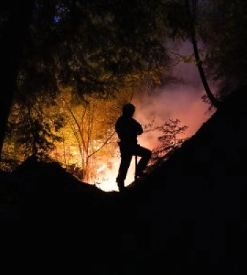 На Мукачівщині рятувальники та лісівники цілодобово приборкують лісову пожежу