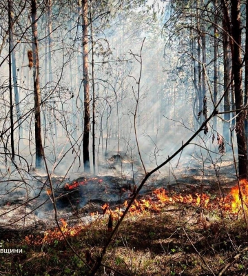 За добу на Львівщині рятувальники ліквідували 43 пожежі в екосистемах