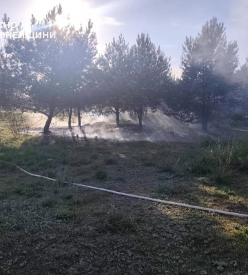 На Рівненщині за добу згоріло понад 6 га сухої рослинності